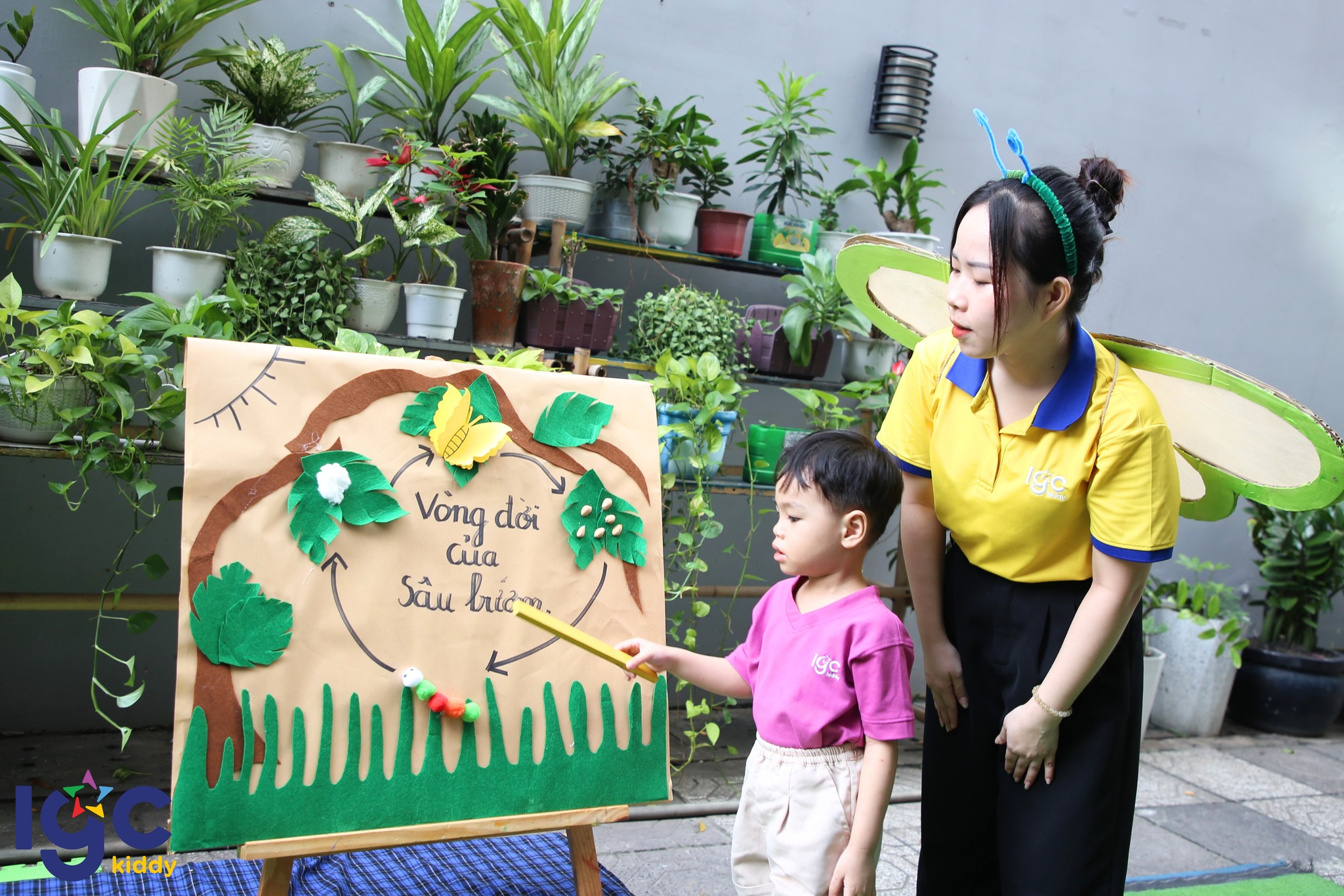 HÀNH TRÌNH CÙNG BÉ VUI KHÁM PHÁ THẾ GIỚI XUNG QUANH QUA DỰ ÁN CÔN TRÙNG BÉ NHỎ 🦋