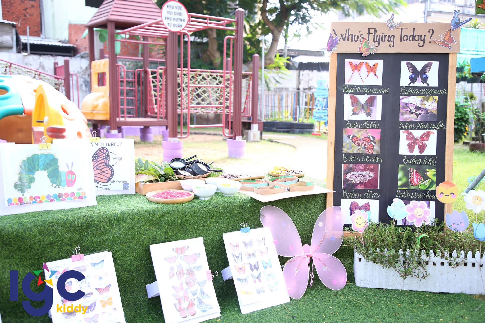 VẺ ĐẸP CỦA LOÀI BƯỚM VÀ NHIỀU ĐIỀU THÚ VỊ MÀ CON CHƯA BIẾT