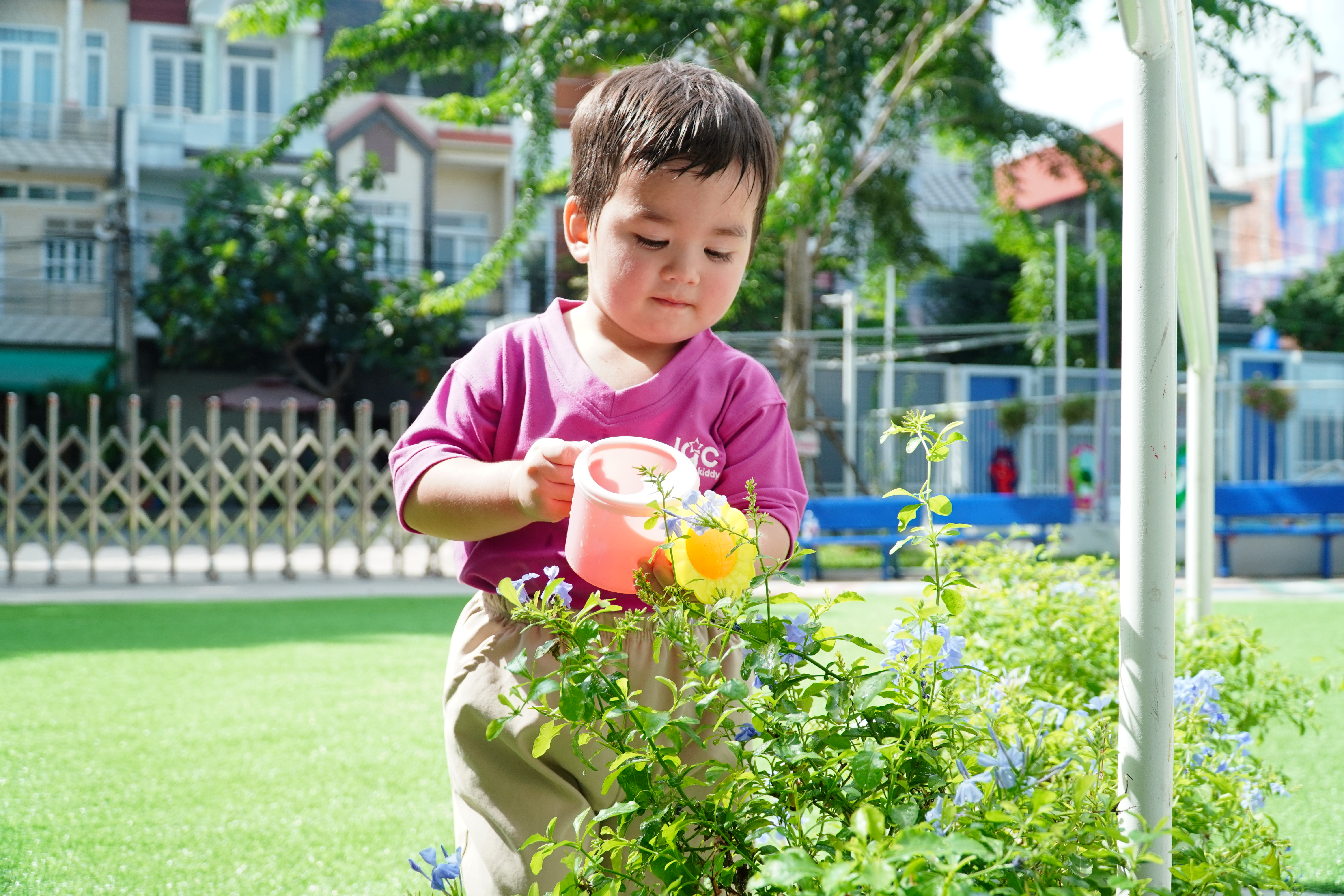 GẶP GỠ CHUYÊN GIA CÂY XANH TRONG DỰ ÁN HỌC TẬP MẦM XANH CỦA IGC KIDDY