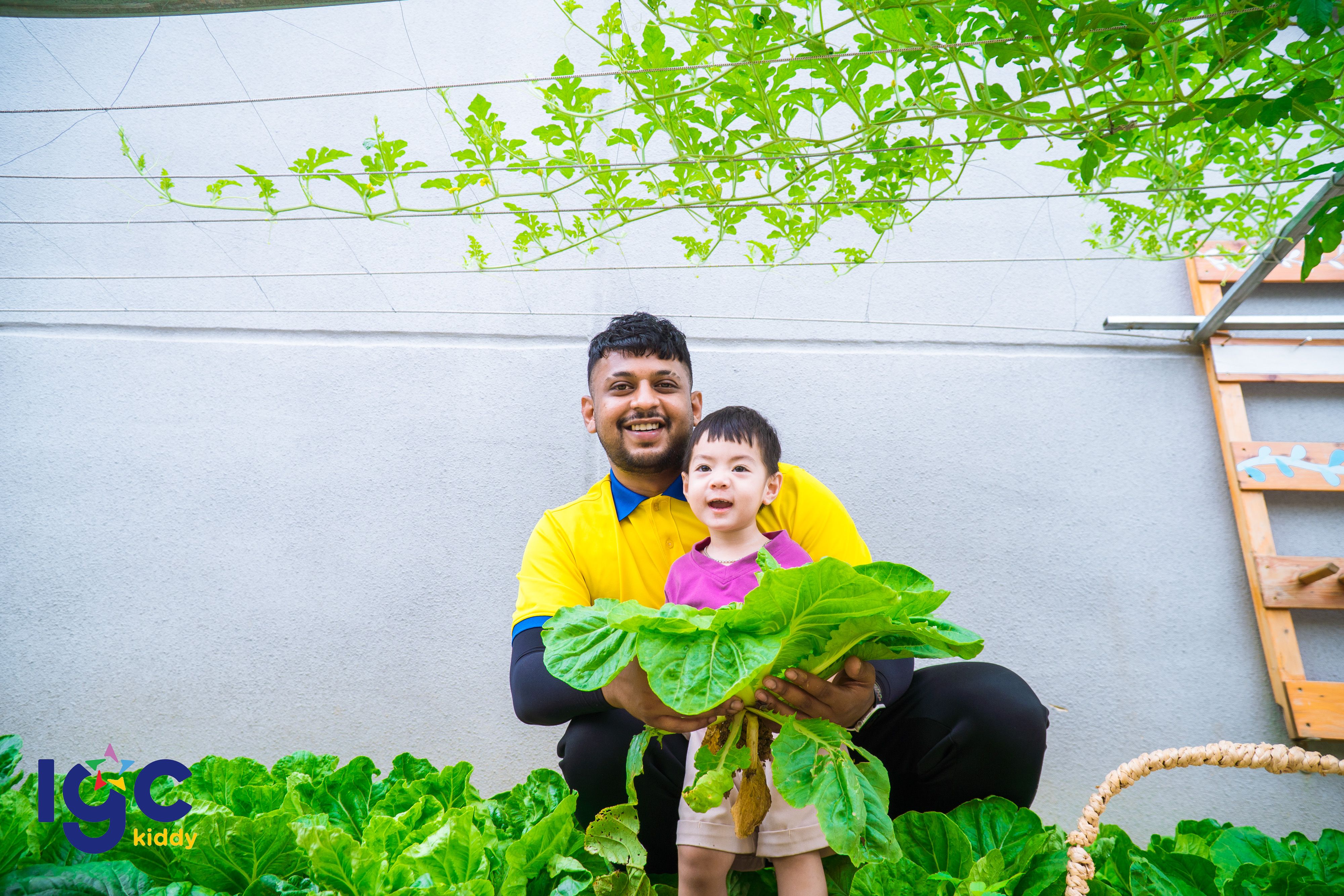 CÙNG BÉ THU HOẠCH RAU XANH