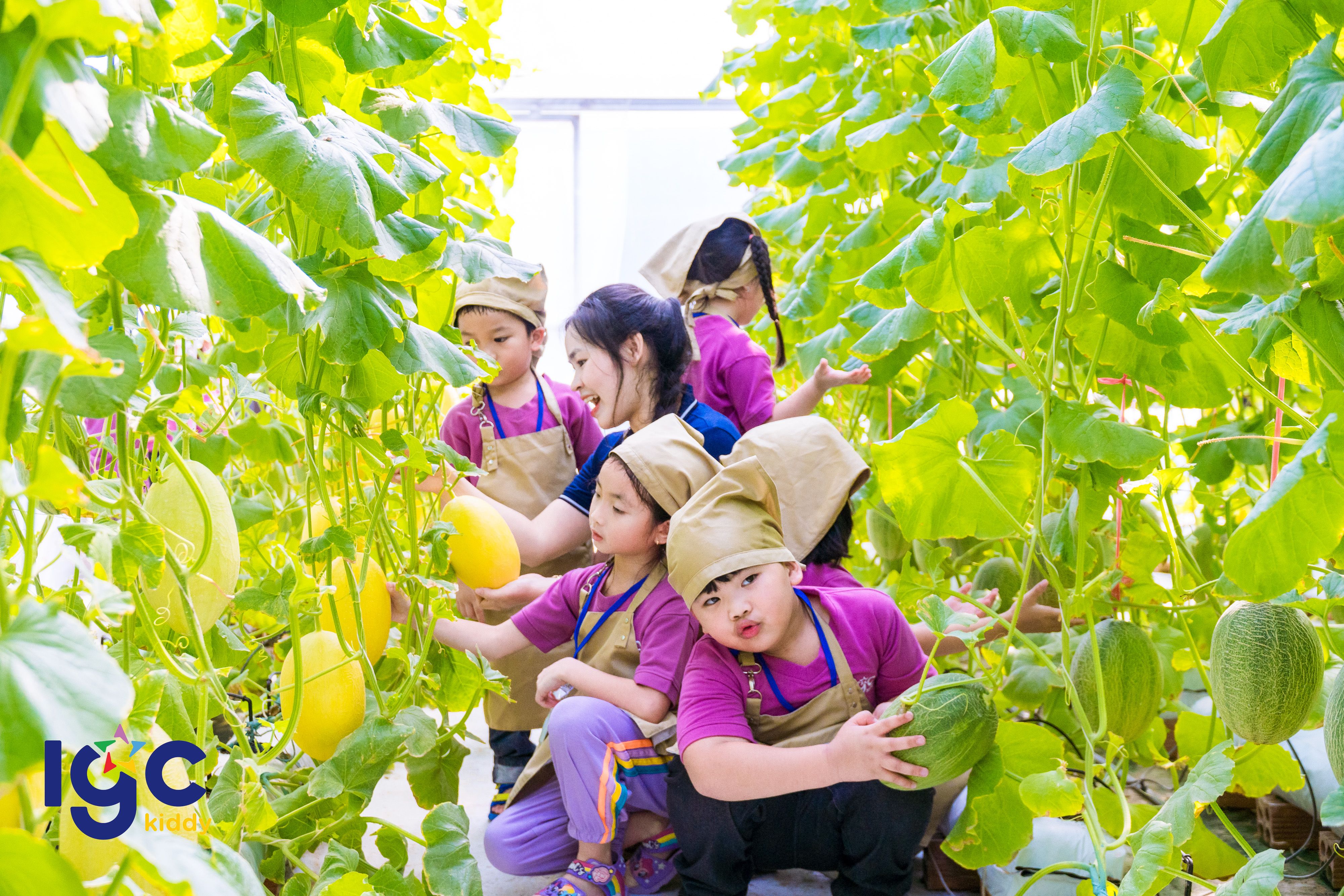 IGC KIDDY AN BÌNH - DÃ NGOẠI VƯỜN DƯA LƯỚI XANH MÁT